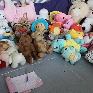 Gấu đẹp giá rẻ