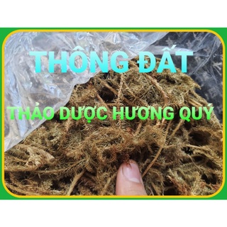 1 Kg Cây Thông Đất Khô, Sạch, Thơm