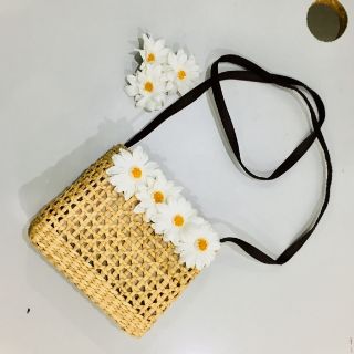 Hoa cúc hoa mi trắng