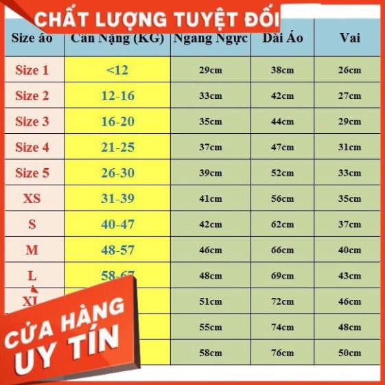 Áo Liên Quân Mobile Cổ Tròn - Triệu Vân Mặc Định Mới