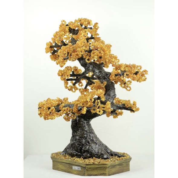 Cây tài lộc hổ phách tụ nhiên của Nga thế rồng bay [Russian Mart Linh Sơn]