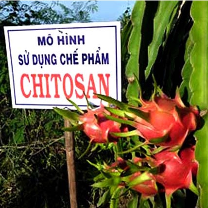 Chitosan bột/vẩy 200gr