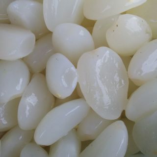 8ki hạt đác tươi 510k