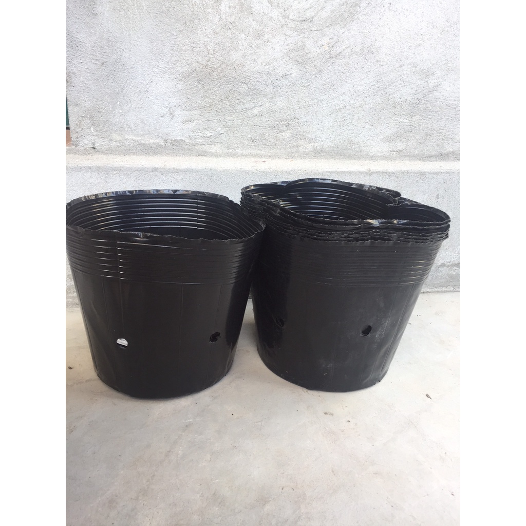 1kg(29-30 cái) bầu ươm cây màu đen giá chỉ 56k