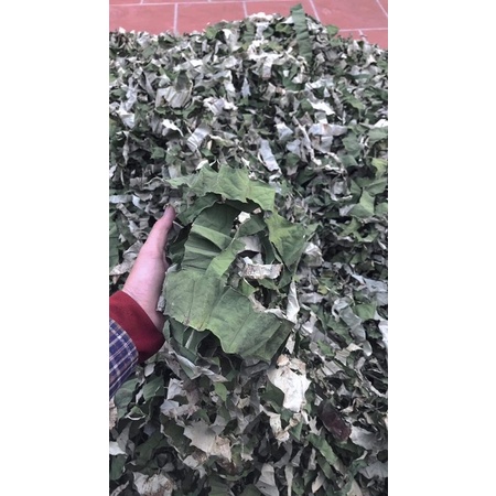 Lá sen khô hàng mới  1 kg 1 bịch to đùng