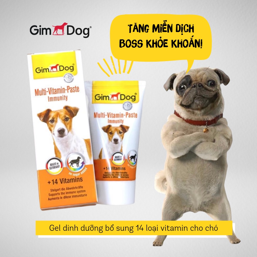 GIMDOG - Gel bổ sung dinh dưỡng và vitamin cho chó