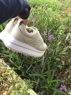 Giày Zara authentic
