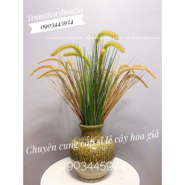 Cây Lau 5 đầu bông siêu đẹp-Cây giả