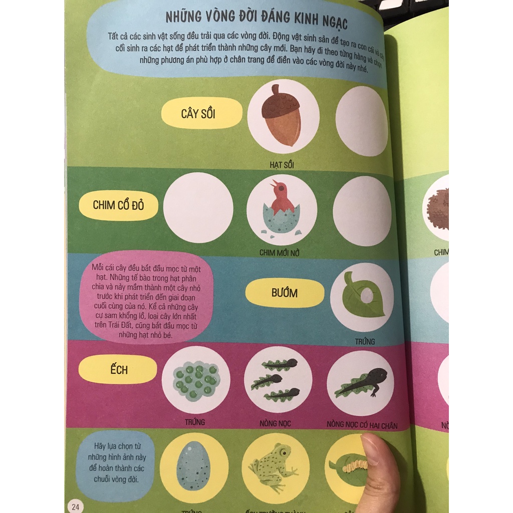 Sách - Cuốn sách khổng lồ về các hoạt động khám phá khoa học