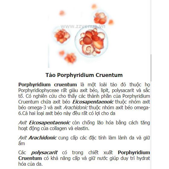 Kem Dưỡng Vùng Mắt zzVENUS Advanced Night Repair Eye Concentrate Matrix [25ml + 15ml + 1ml] | BigBuy360 - bigbuy360.vn