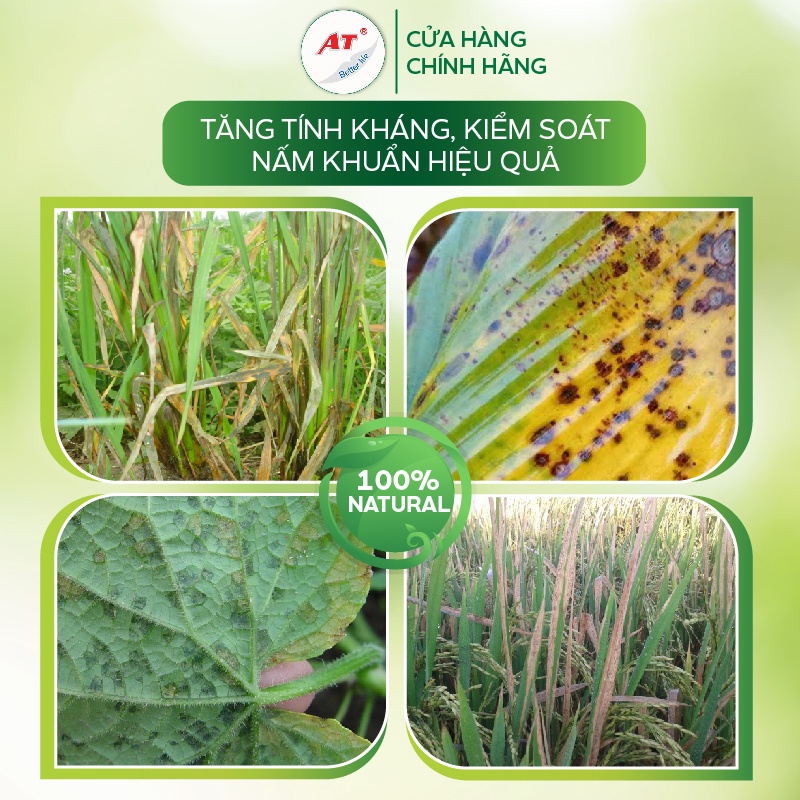 Nano Đồng AT C99 sát khuẩn, diệt nấm bệnh chống héo xanh vi khuẩn trên cây rau màu, cây hoa hồng, hoa lan, cây trong nhà