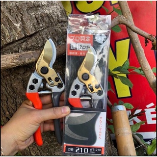 Kéo cắt cành cộng lực sk5 siêu sắc