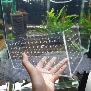 Hộp phân nền / box tép mica 30x12x15cm