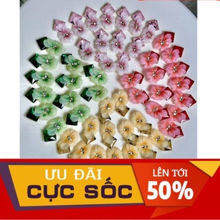 Hoa thược dược ôm đá