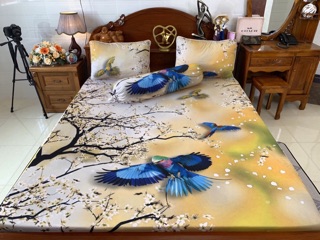 Drap thun lạnh Ý 5 D