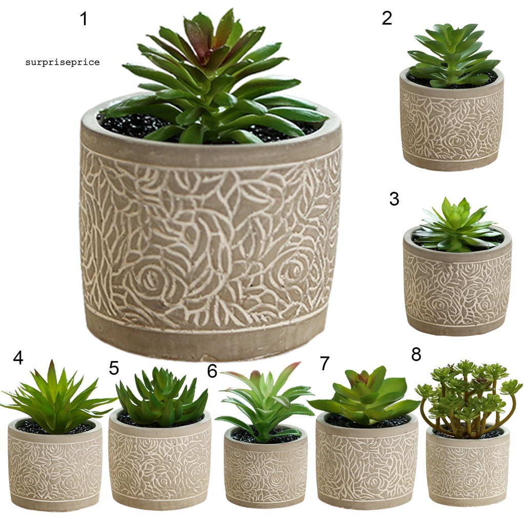 Kệ Để Chậu Cây Bonsai Mini Thân Thiện Với Môi Trường Dùng Trang Trí Bàn Làm Việc