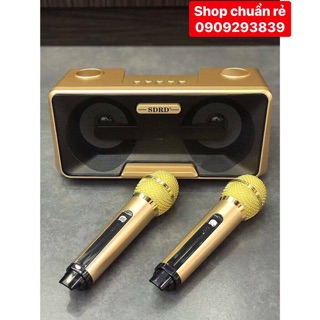Loa karaoke Bluetooth mini SD-301