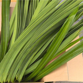 Lá Dứa Khô 100 Gram