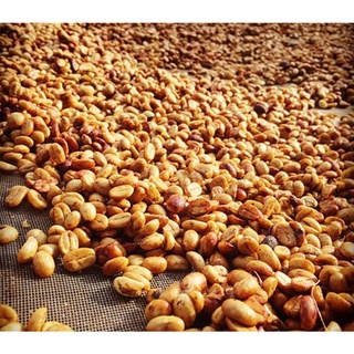CÀ PHÊ NGUYÊN CHẤT - DAKLAND COFFEE - S2