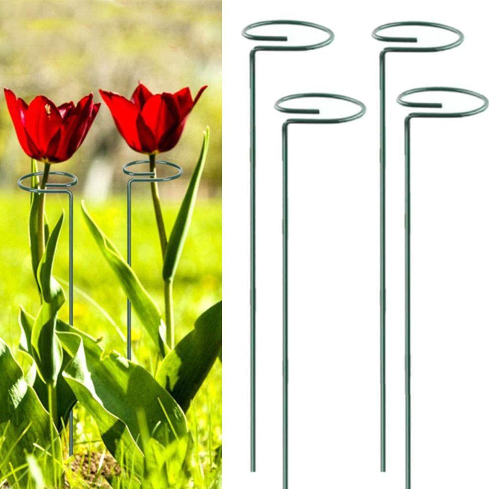 Set 5 Giá Đỡ Cây Dây Leo Bằng Kim Loại Tiện Dụng Cho Sân Vườn