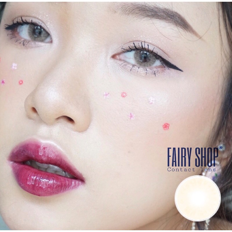 Kính Áp tròng HD1 brown 14.0 - Kính Áp Tròng FAIRY SHOP CONTACT LENS độ 0 đến 7