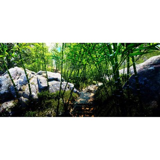 [PS4-US] Trò chơi Shenmue 3 - PlayStation 4