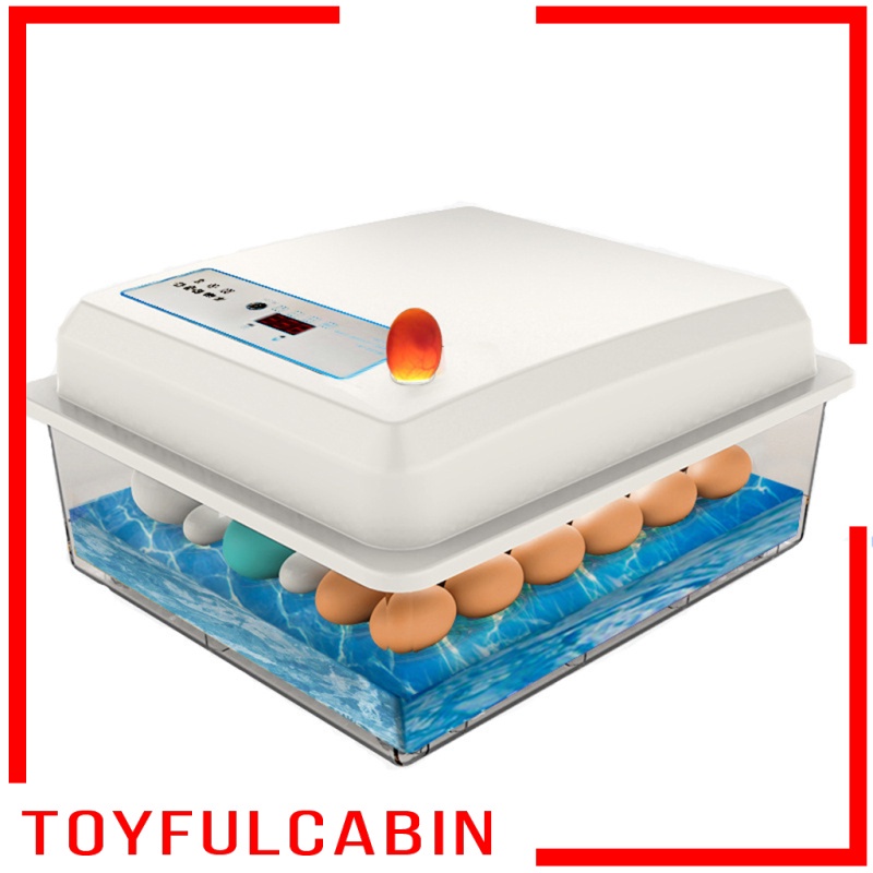 Máy Ấp Trứng Kỹ Thuật Số Tự Động Điều Khiển Nhiệt Độ