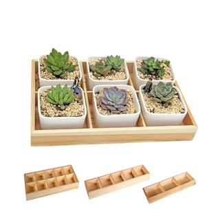 kệ gỗ thông để bàn hộp 6 ngăn đựng cây cảnh mini đồ lưu niệm