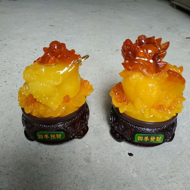 Cóc kỳ ngọc các màu cỡ đại ( giá 1 cặp )