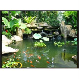 Tranh dán tường 3D hồ cá koi phong cảnh thiên nhiên