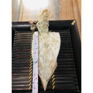 Khô mực câu kiên giang loại 100gr size lớn