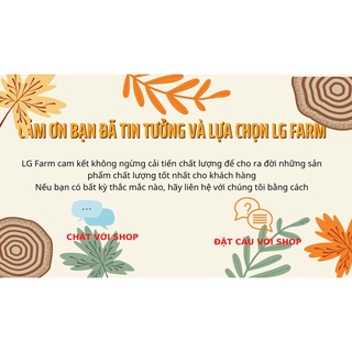Bột cà phê nguyên chất - 500 gram - rang mộc