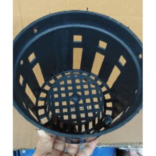 Chậu trồng lan đường kính 16cm