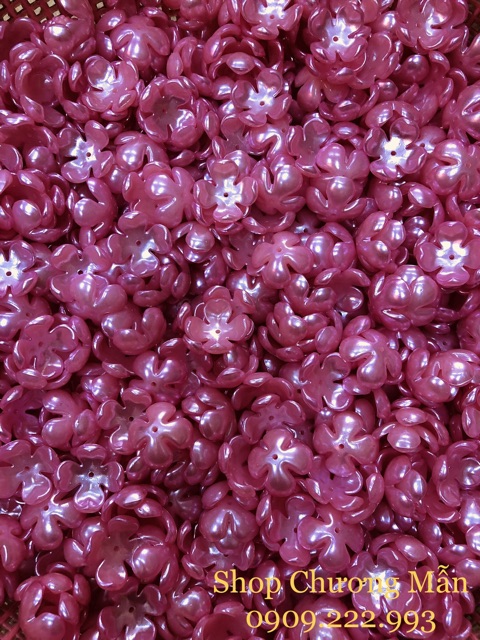 100G Bông 4 Cánh Bẹt 25mm Giá Sỉ (đủ màu)