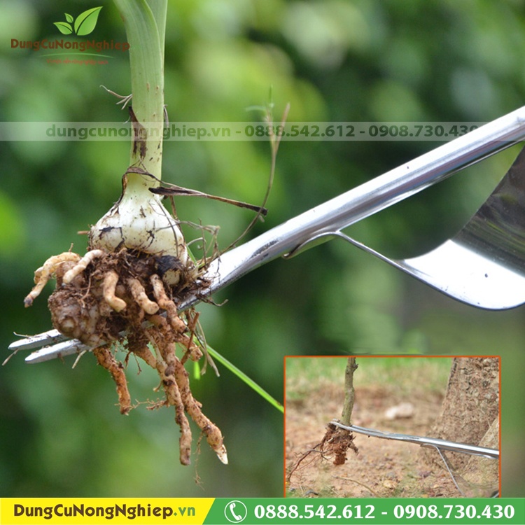 Dụng cụ nhổ cỏ 32cm cán gỗ lưỡi inox bứng được hết rể cỏ sạch sẽ