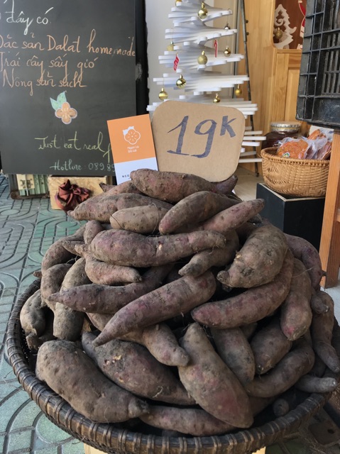 [Mã 77FMCGSALE1 giảm 10% đơn 250K] KHOAI LANG MẬT | NGON LẠ ĐÀ LẠT | BigBuy360 - bigbuy360.vn