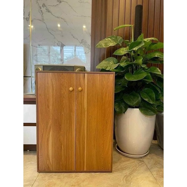 Tủ giày gỗ thông minh, tủ để giày dép 2 cánh 5 ngăn gỗ MDF