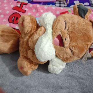Gau bong của Phương lan