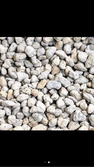 1 kg đá thấm thuỷ( đá bọt)