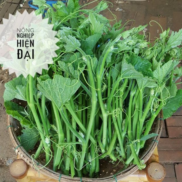 Hạt Giống Bí Siêu Đọt 20gram