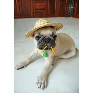 NÓN CÓI MŨ RƠM ĐỘI ĐẦU CUTE CHO THÚ CƯNG