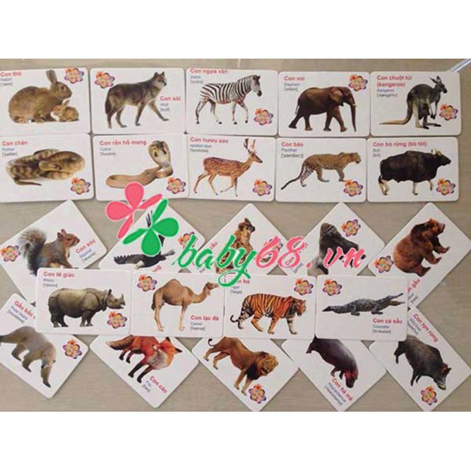 Thẻ học thông minh - Flash card 16 chủ đề cho bé