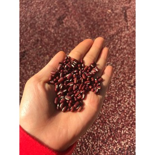 Trà Xích Tiểu Đậu 500g - Trà Đậu Đỏ - Đậu Đỏ Rang theo PP ohsawa - rang và hạ thổ