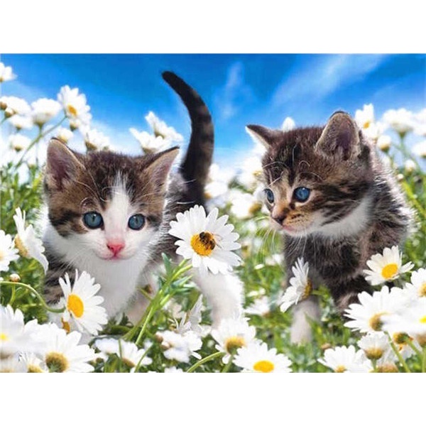 Bộ Tranh Đính Đá 5D Họa Tiết Hai Chú Mèo Độc Đáo DIY Dùng Trang Trí Nhà Cửa