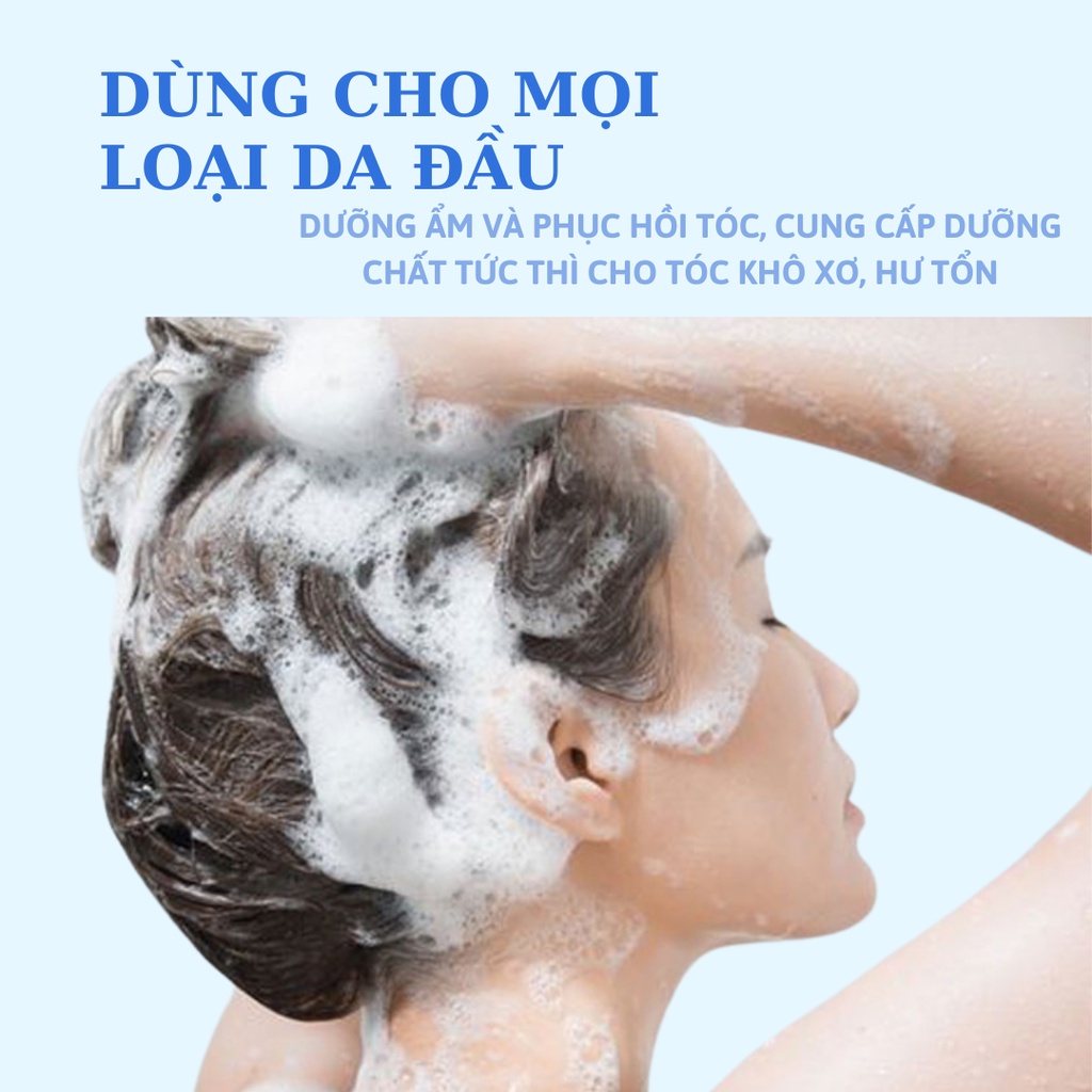 [Chính hãng] Cặp dầu gội xả Olexrs Argan Oil Collagen Hair Salon phục hồi tóc hư tổn và giảm gãy rụng