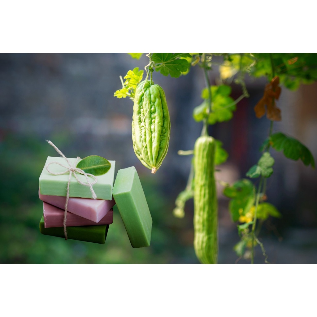 Xà Bông thảo dược Mướp đắng AnhAnhhome - Mát Da, Ngừa Mụn Lưng 100gr | BigBuy360 - bigbuy360.vn