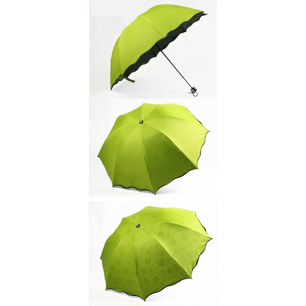 Chiếc dù nở hoa