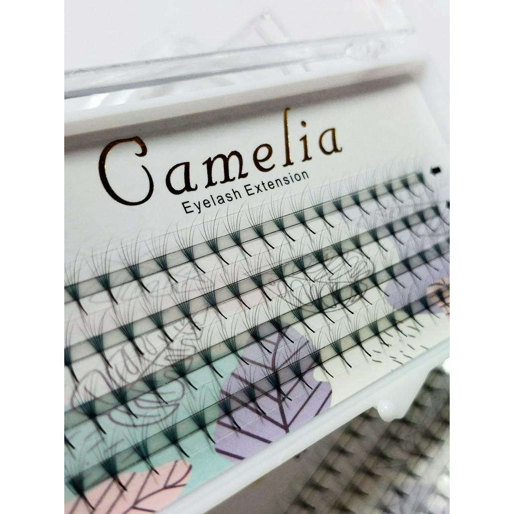 Fan 6D Mi Hoa Sơn Trà