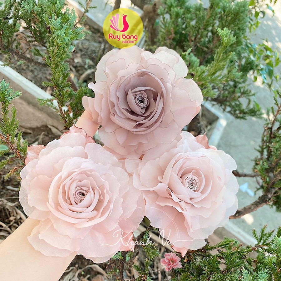 Voan cao cấp HQ (GIÁ 1M) RB2202