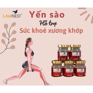 Yến sào Lamnest - 10 hủ yến chưng đường phèn